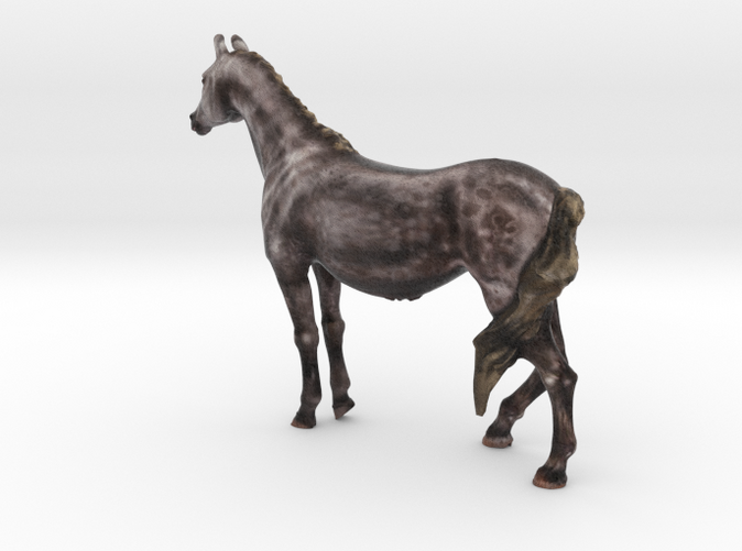 Arabian horse color concept by ©2012-2014 RareBreed