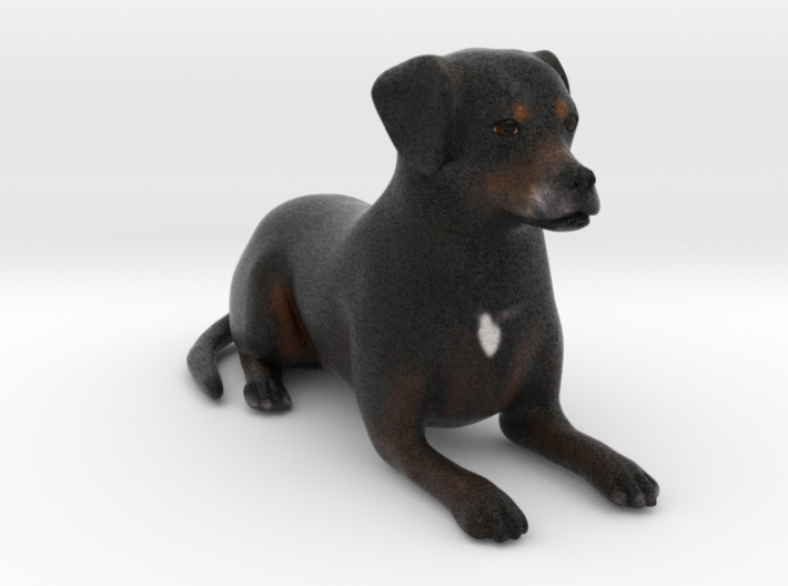 Custom Dog Figurine - Buzz 3d printed