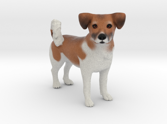 Custom Dog Figurine - Rocky 3d printed
