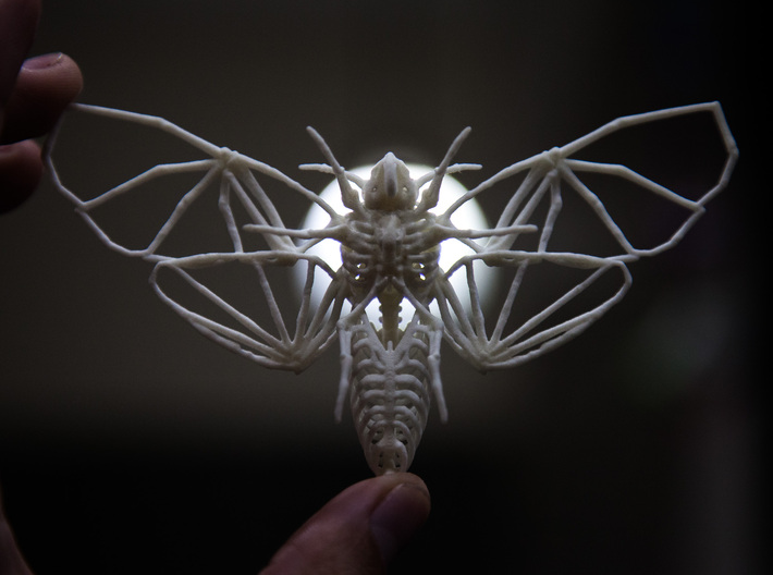 Death's Head Hawkmoth Skeleton 3d printed 