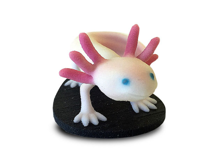 Axolotl 3d printed 