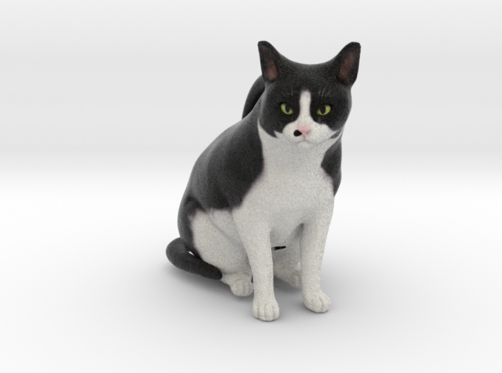 Custom Cat Ornament - Patch 3d printed