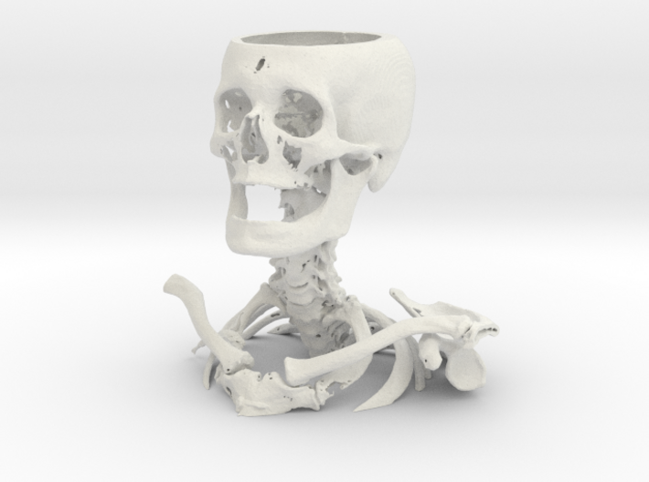 Cervical Spine and Neck 3d printed