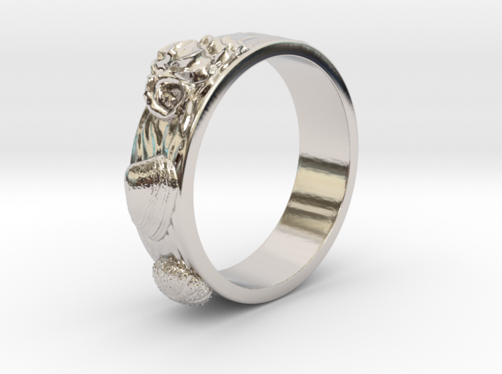 Sea Shell Ring 1 - US-Size 3 (14.05 mm) 3d printed