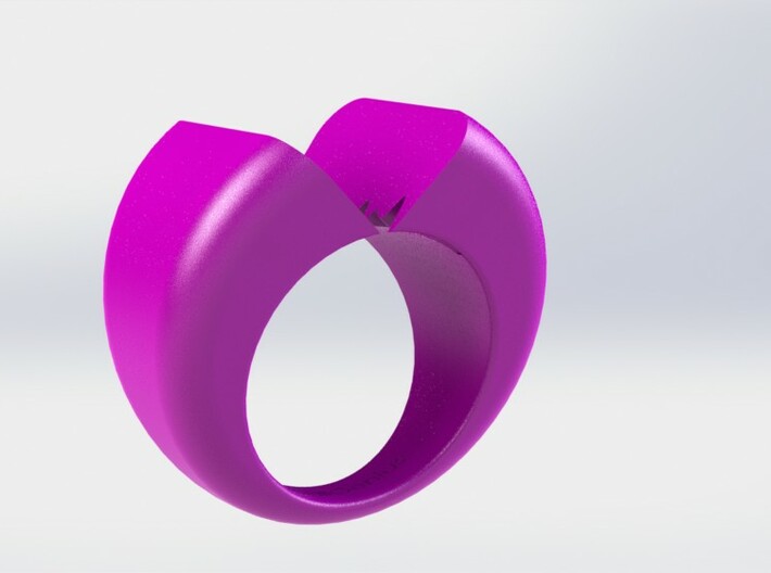 Lovers Ring 02 D19mm Size 9 3d printed 