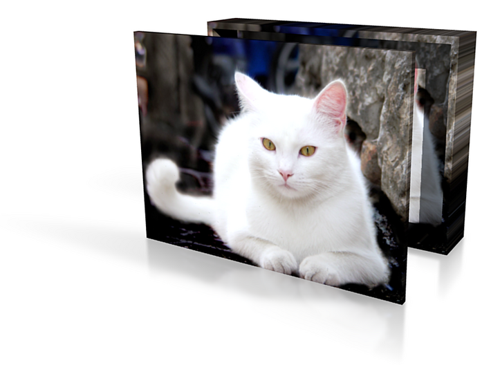 Gubbo cat box 4in 3d printed