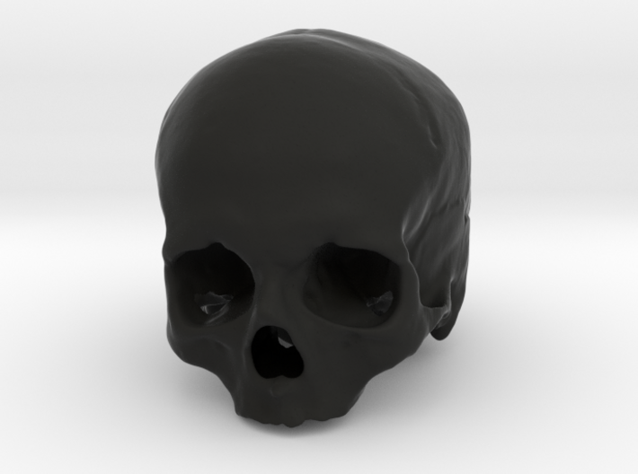 Cranium SF002 3d printed