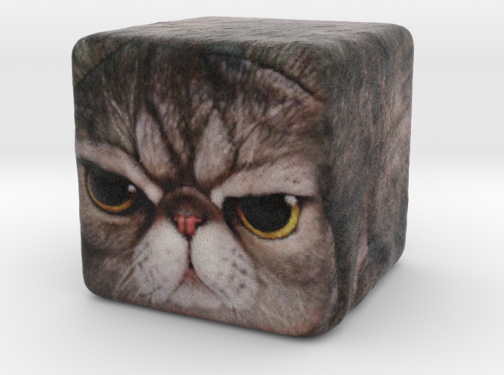 Grumpy Cat Cube / Animal Cubes 3d printed grumpy