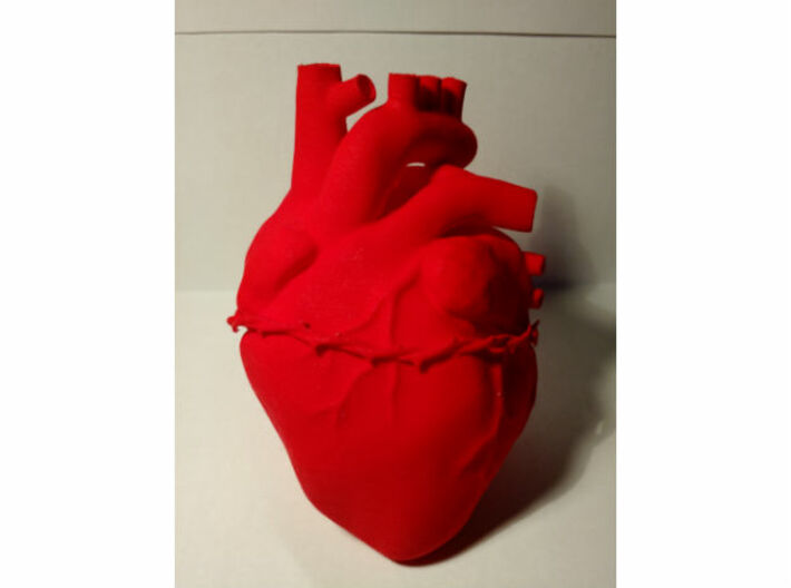 Anatomical Sacred Heart 3d printed Anterior 1