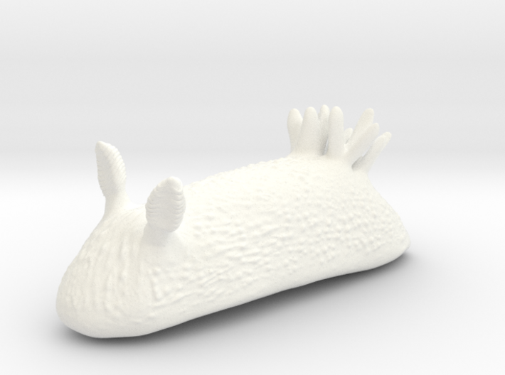 Unna the Nudibranch (Sea Bunny) 3d printed 