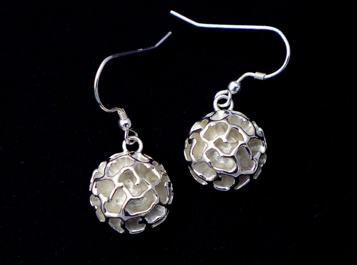 Fossil Acritarch Cymatiosphaera Earrings 3d printed Dinocyst earrings in polished silver