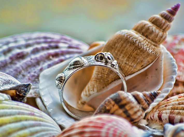 Sea Shell Ring 1 - US-Size 2 1/2 (13.61 mm) 3d printed Seashell Ring in polished silver (shown: size 10)