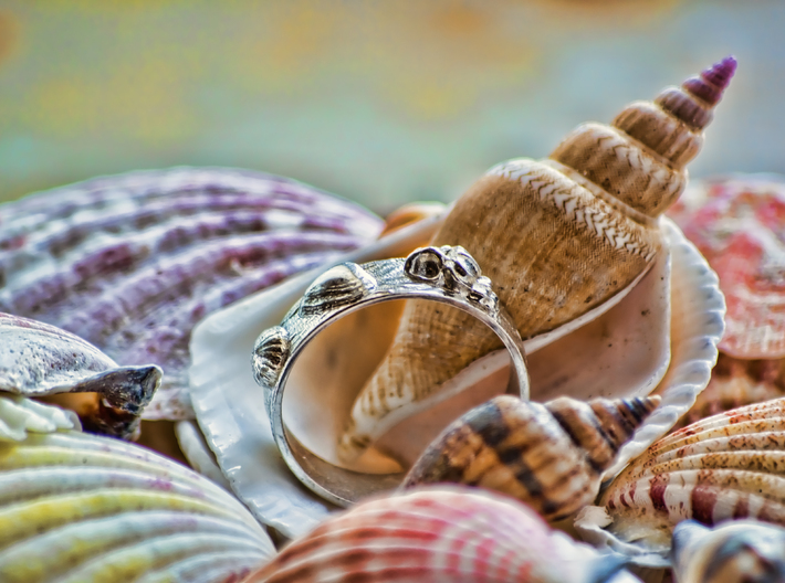 Sea Shell Ring 1 - US-Size 6 1/2 (16.92 mm) 3d printed Seashell Ring in polished silver (shown: size 10)