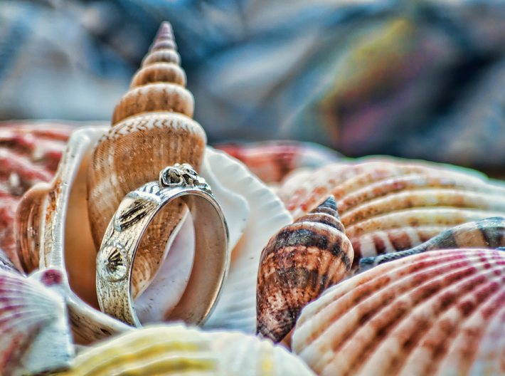 Sea Shell Ring 1 - US-Size 6 1/2 (16.92 mm) 3d printed Seashell Ring in polished silver (shown: size 10)