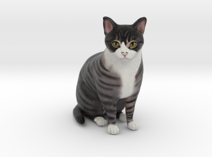 Custom Cat Figurine - Ivy 3d printed