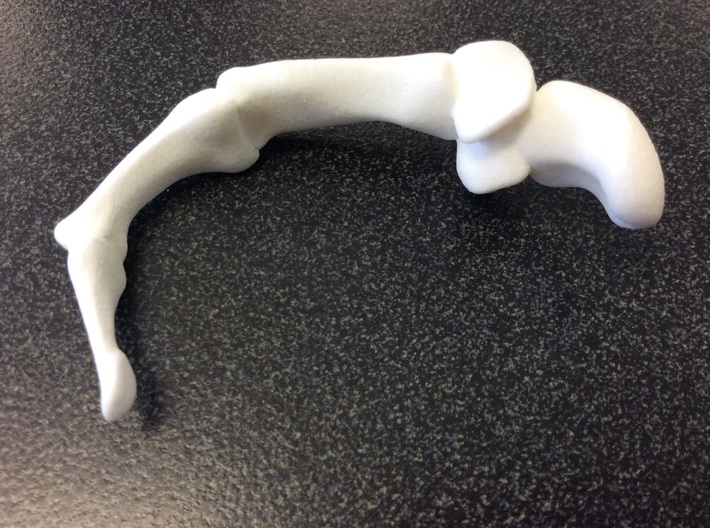 Thumb Bones - Bent - Medium 3d printed 