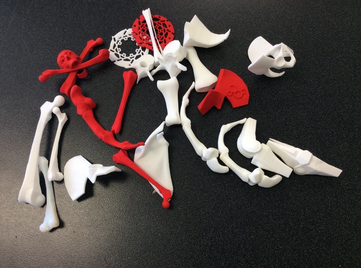 Full Pelvis - OG - Small 3d printed Pelvis (top right) shown with other Bone Houses