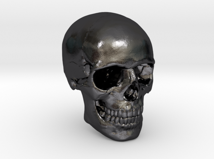 1/24 Human Skull Crane Schädel че́реп 3d printed