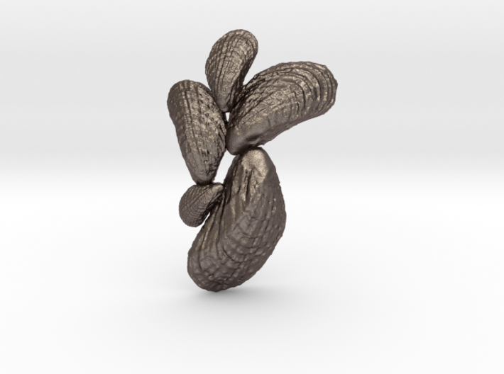 Small Mussel Cluster Pendant 3d printed