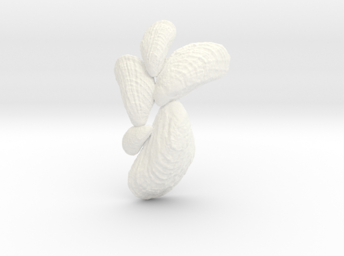 Small Mussel Cluster Pendant 3d printed