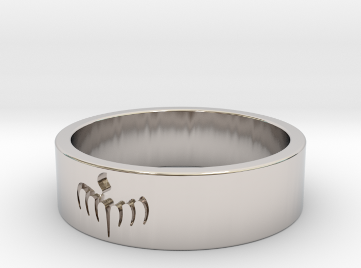 Spectre Ring - Size 11 3d printed