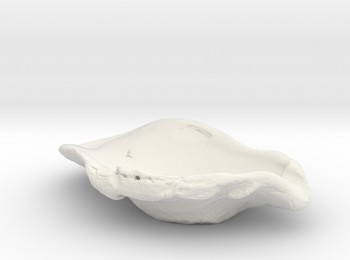 Large Oyster Jewelry Dish 3d printed