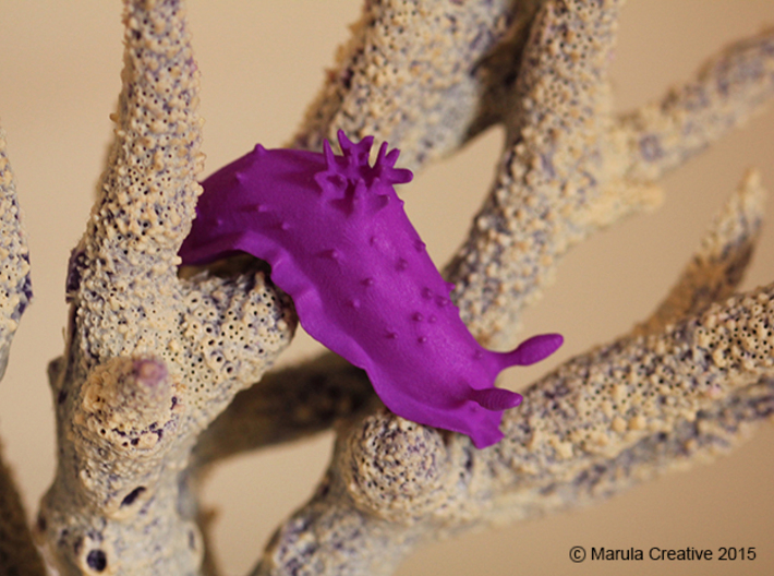 Doris the Nudibranch 3d printed Purple Strong & Flexible Polished