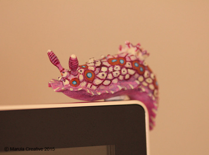 Doris the Nudibranch 3d printed Hand Painted White Strong & Flexible Polished - on computer monitor! 