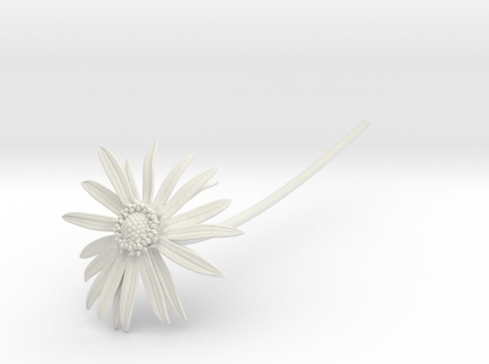 Picked Daisy 1 3d printed 
