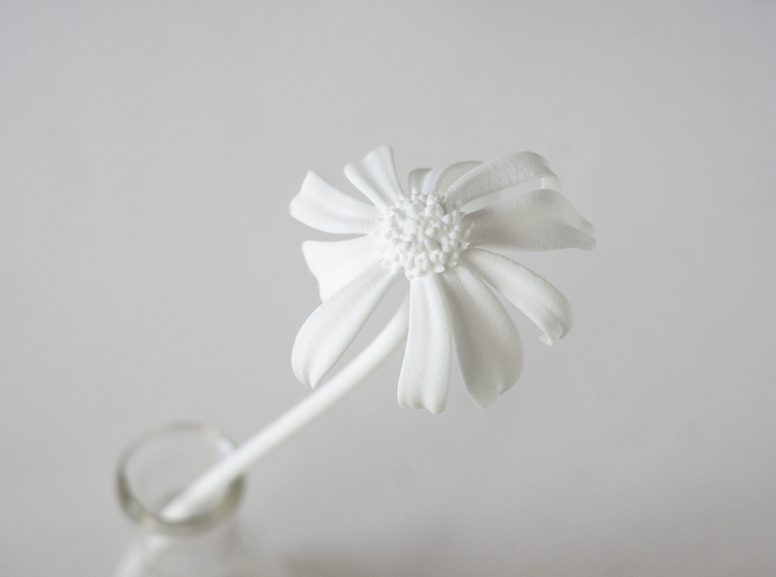 Picked Daisy 3 3d printed