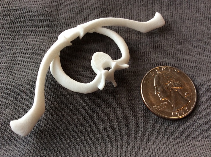 Bone House: Collar O - Large 3d printed Top Side shown here. Quarter sold separately