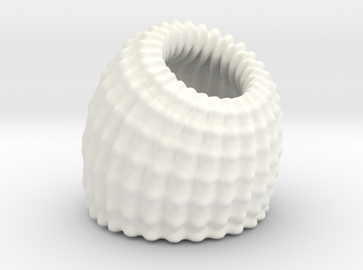 Brain Coral Jewellery Container 3d printed 