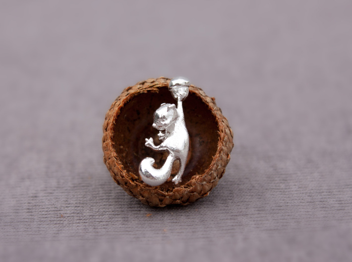 Squirrel Earrings 3d printed 
