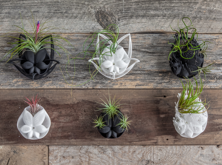 Bulbophyllum Simplex Planter 3d printed More wall-hanging designs in this series