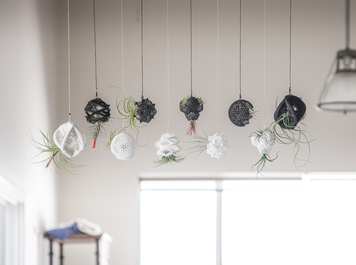 Radiolaria Platonica Planter 3d printed More hanging designs in this series