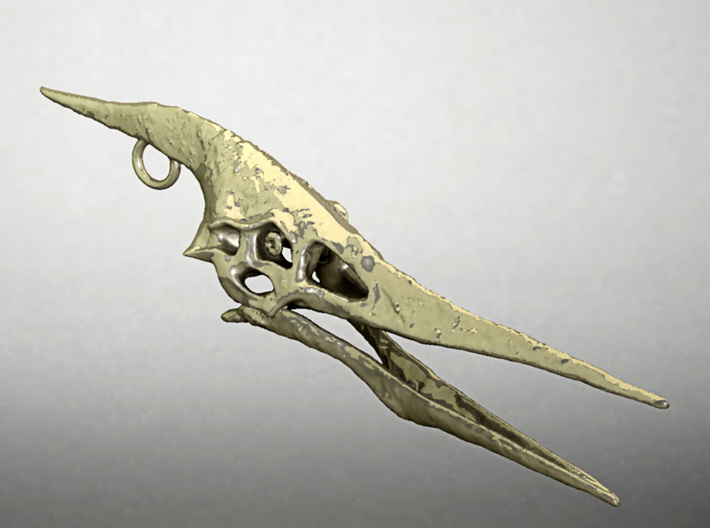Pteranodon Skull for Steel 3d printed 