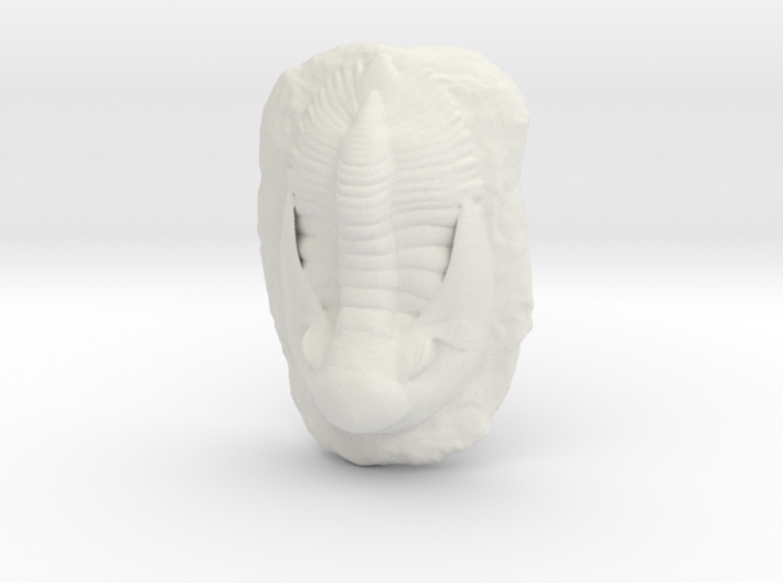 Trilobite Fossil 3d printed
