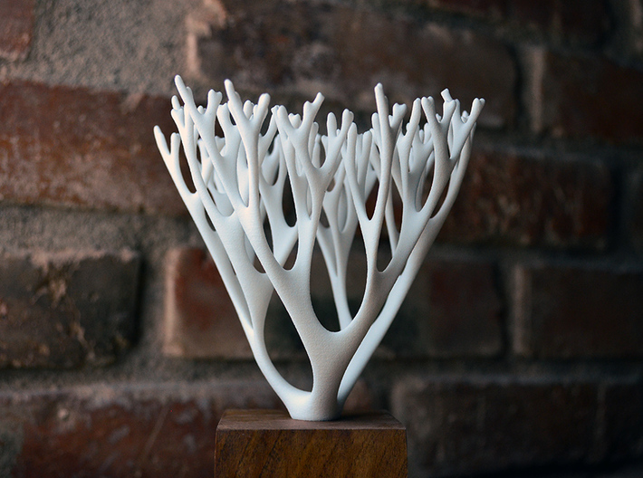 Laplacian Coral 3d printed