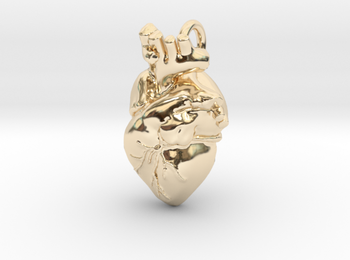 Bigger Anatomical Heart pendant 3d printed