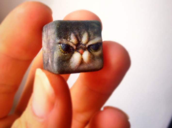 Grumpy Cat Cube / Animal Cubes 3d printed
