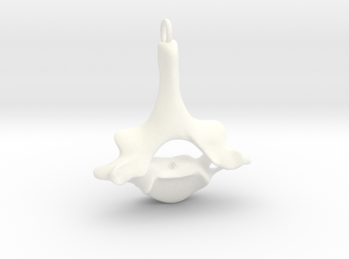 Human vertebra - C7 full size loop 3d printed