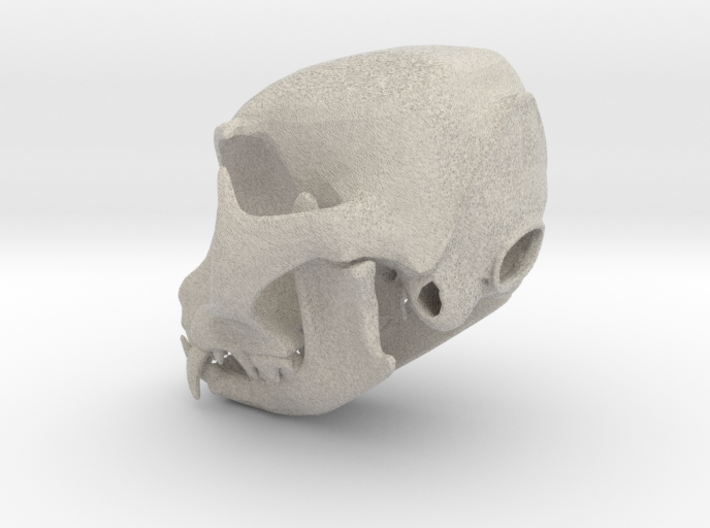 Large Cat Skull 3d printed