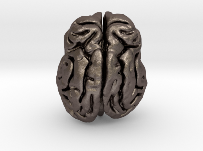 Leopard brain 3d printed