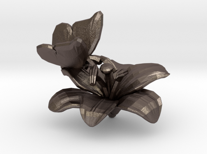 Butterfly And Lily Flower 1 Rock - S 3d printed