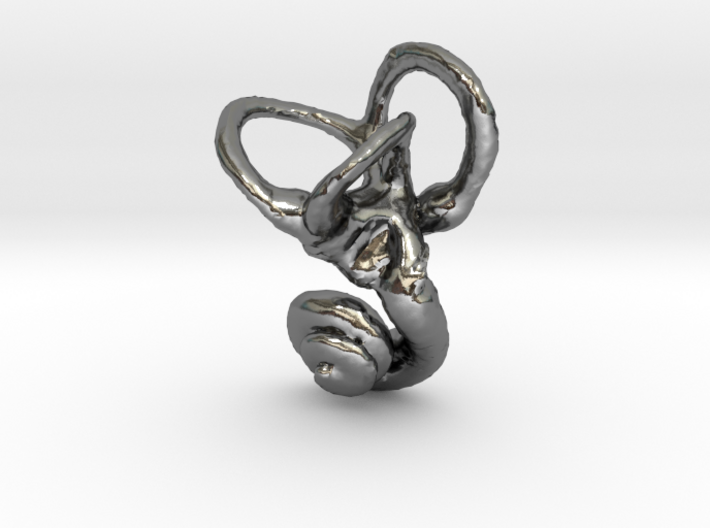Ear Charm, Cochlea & Canals Pendant 3d printed 