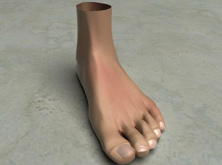 Life Size Foot - 8.7&quot;- Hollow 3d printed This is a rendering of the foot, not the actual product!