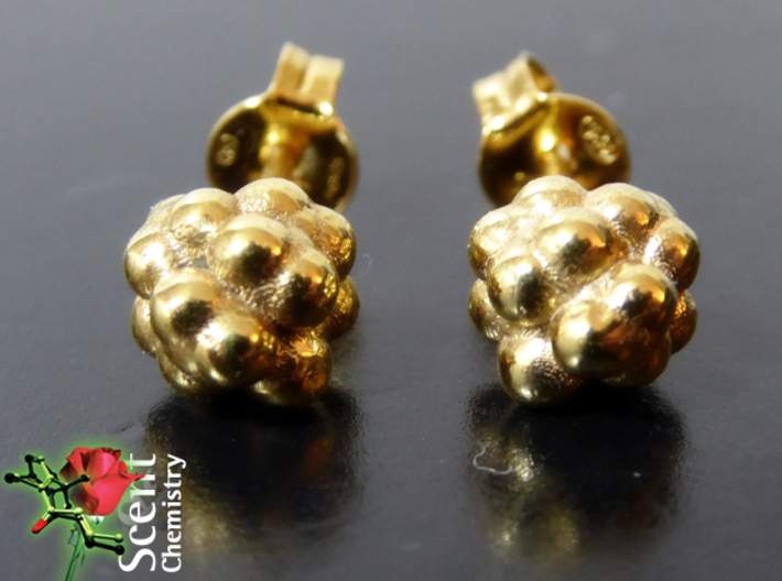 Camphor Earring Studs 3d printed Front view of the 18k gold-plated camphor ear studs with fitting Thomas Sabo butterfly clips Z881-2.