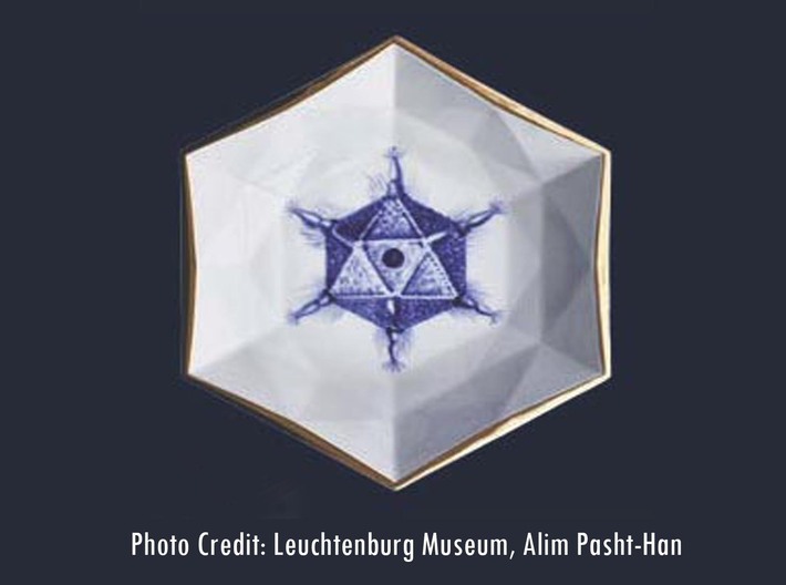 Circogonia Icosahedral Radiolarian Pendant 3d printed Alim Pasht-Han's painting of Circogonia on the ARURA vase