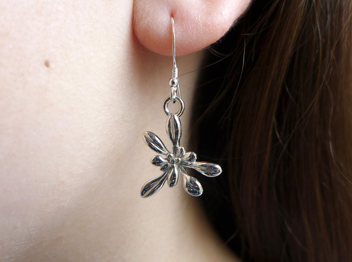 Arabidopsis Rosette Earrings 3d printed Arabidopsis earrings in polished silver
