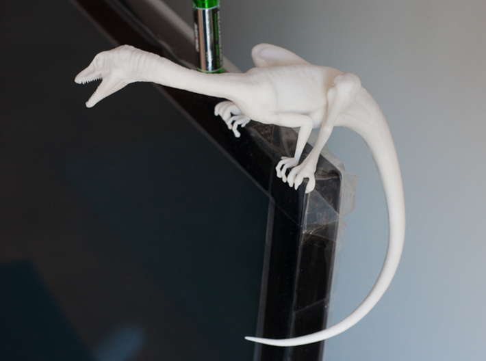Compy dinosaur desktop figurine 3d printed Showing tail